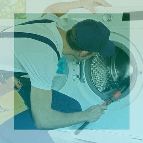 تعداد متخصصان